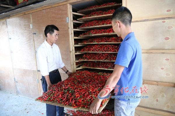 王中王一肖，揭秘數(shù)字背后的傳奇故事——十三中十三的獨(dú)特魅力，揭秘數(shù)字背后的傳奇故事，十三中十三的獨(dú)特魅力——王中王一肖