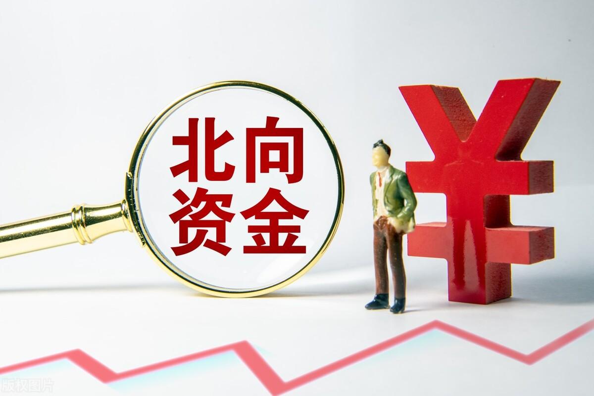 中國天楹股票，投資潛力與市場前景分析，中國天楹股票投資潛力與市場前景深度解析