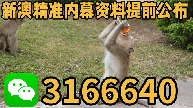 澳門(mén)今晚四不像正版圖片大全——深度探索與賞析，澳門(mén)今晚四不像正版圖片大全，深度探索與賞析之旅
