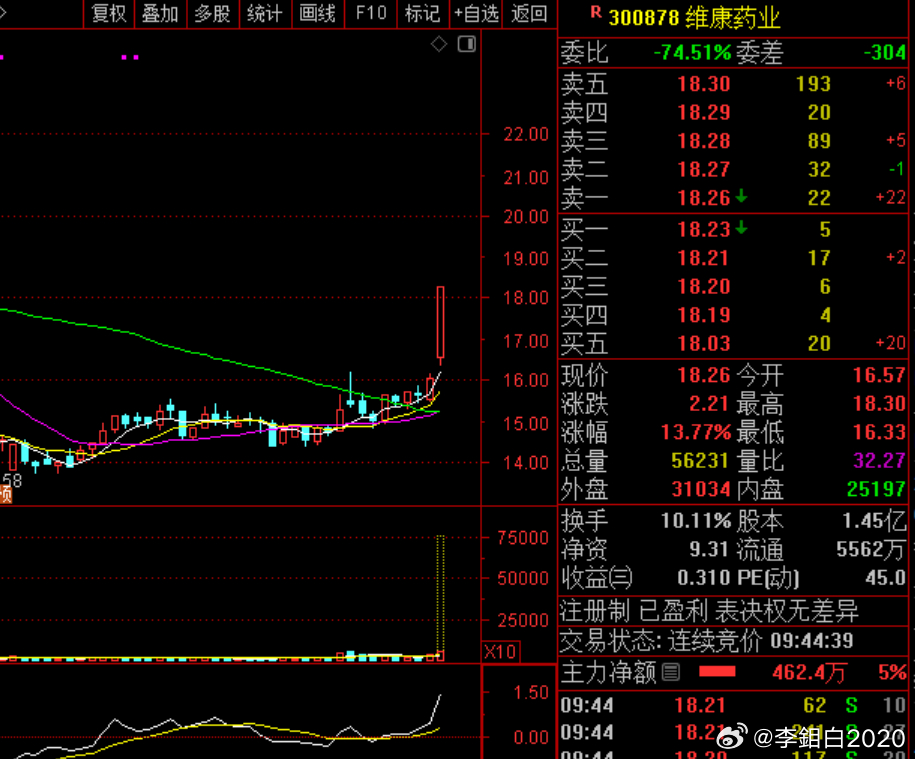 中珠藥業(yè)股票，深度解析與投資前景展望，中珠藥業(yè)股票深度解析及投資前景展望