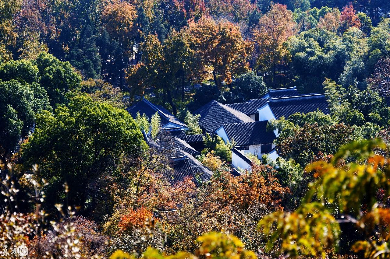江蘇吳中股票股吧深度解析，江蘇吳中股票股吧全面深度解析