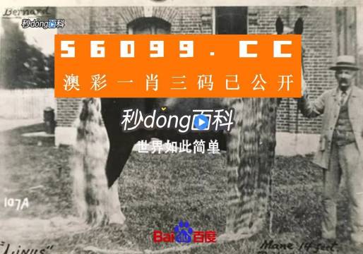 澳門王中王心水王中王，解析其背后的奧秘與吸引力，澳門王中王心水奧秘與吸引力的解析