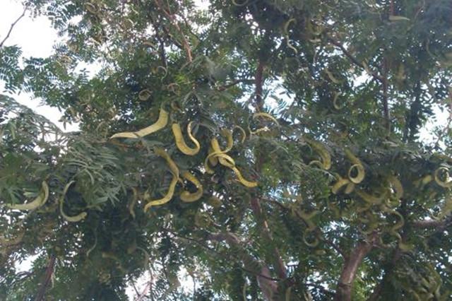 隆胸手術(shù)費(fèi)用全面解析，一般大概要花多少錢？，隆胸手術(shù)費(fèi)用全面解析，了解隆胸手術(shù)大概需要花費(fèi)多少？