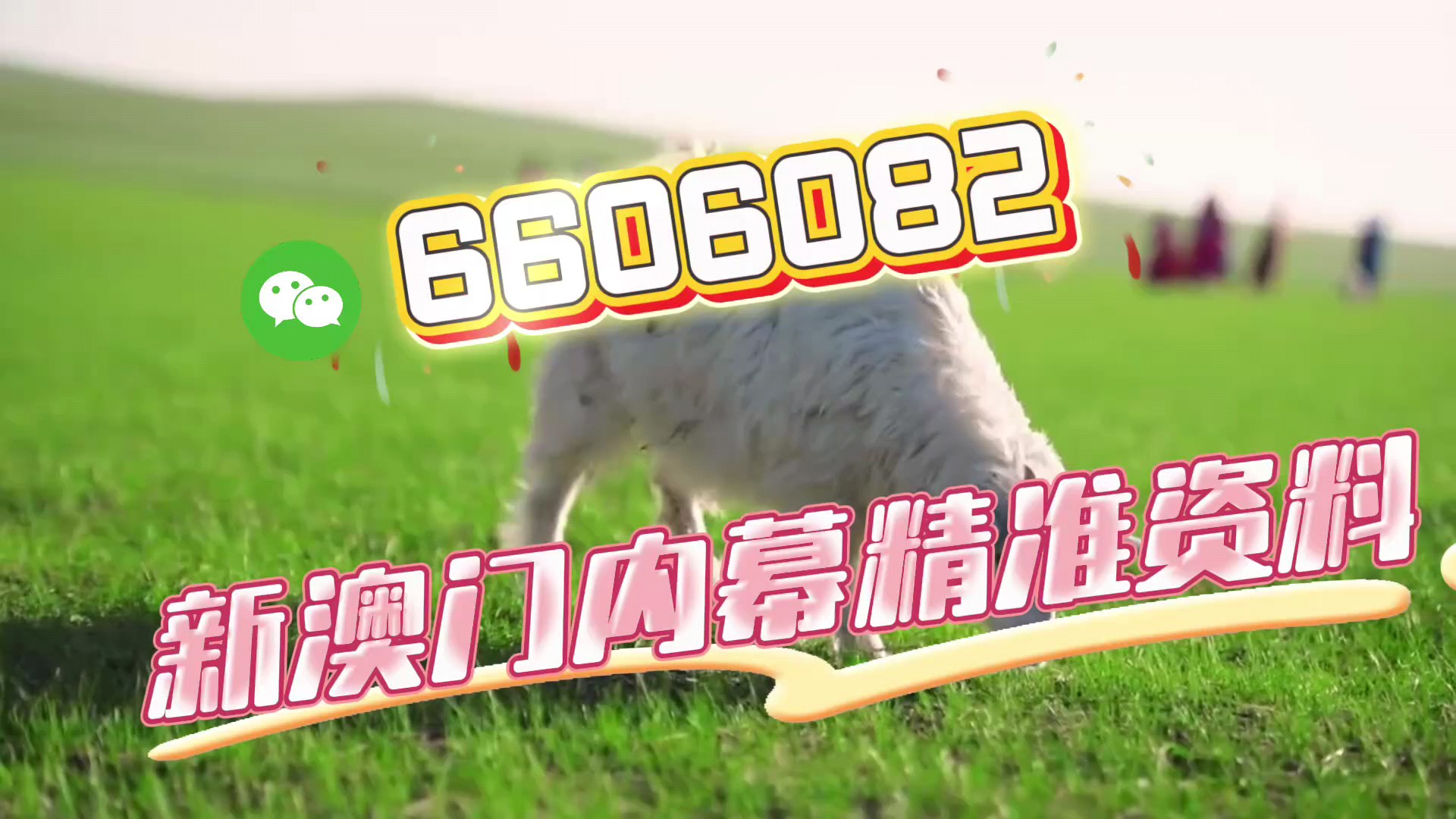 澳門一肖一碼精準(zhǔn)資料，揭秘預(yù)測(cè)玄機(jī)與技巧，澳門一肖一碼精準(zhǔn)預(yù)測(cè)揭秘，預(yù)測(cè)玄機(jī)與技巧大全
