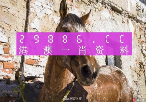 王中王資料一肖正特馬，深度解析與SEO優(yōu)化策略，王中王資料一肖正特馬深度解析與SEO優(yōu)化策略指南