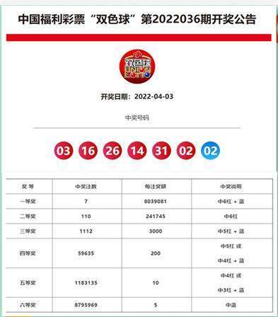 新澳門六開獎(jiǎng)結(jié)果查詢2023，最新開獎(jiǎng)動(dòng)態(tài)與查詢方法，澳門六開獎(jiǎng)最新動(dòng)態(tài)，2023年開獎(jiǎng)結(jié)果查詢與指南
