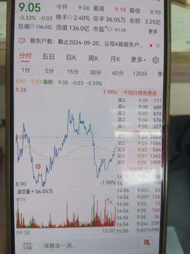 關(guān)于數(shù)字代碼600435的SEO文章，數(shù)字代碼600435，深度解析與SEO優(yōu)化策略