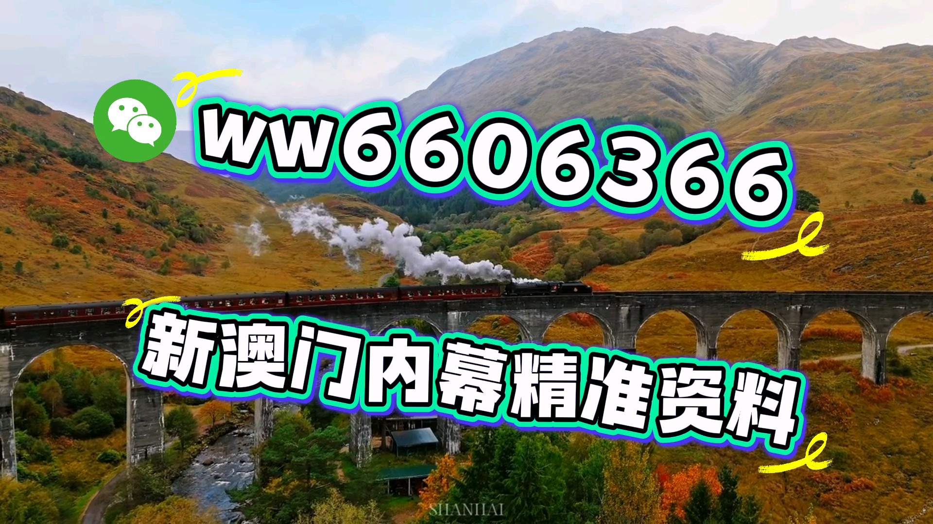 新澳門一肖中，揭秘期期準(zhǔn)的秘訣，100%精準(zhǔn)預(yù)測，揭秘新澳門一肖中精準(zhǔn)預(yù)測秘訣，百分百期期準(zhǔn)確預(yù)測！