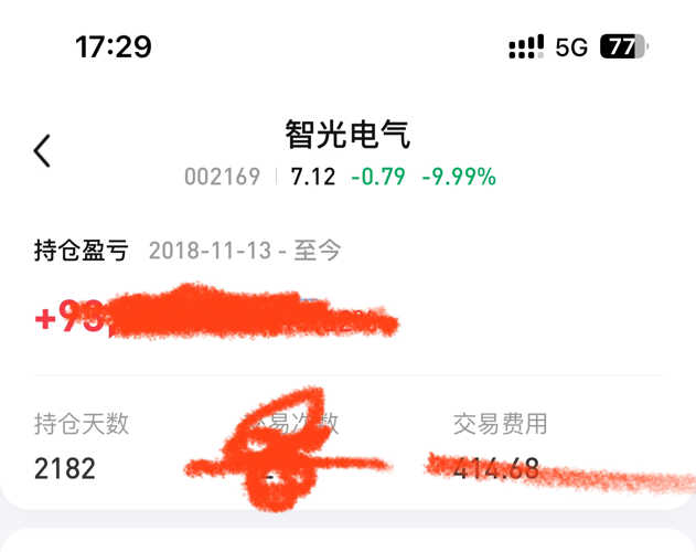 智光電氣股票股吧，深度解析與前景展望，智光電氣股票深度解析及前景展望——股吧熱議話題