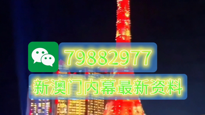 澳門今晚必開一肖一特，揭秘博彩文化背后的秘密，澳門博彩文化揭秘，今晚必開一肖一特探尋背后的秘密