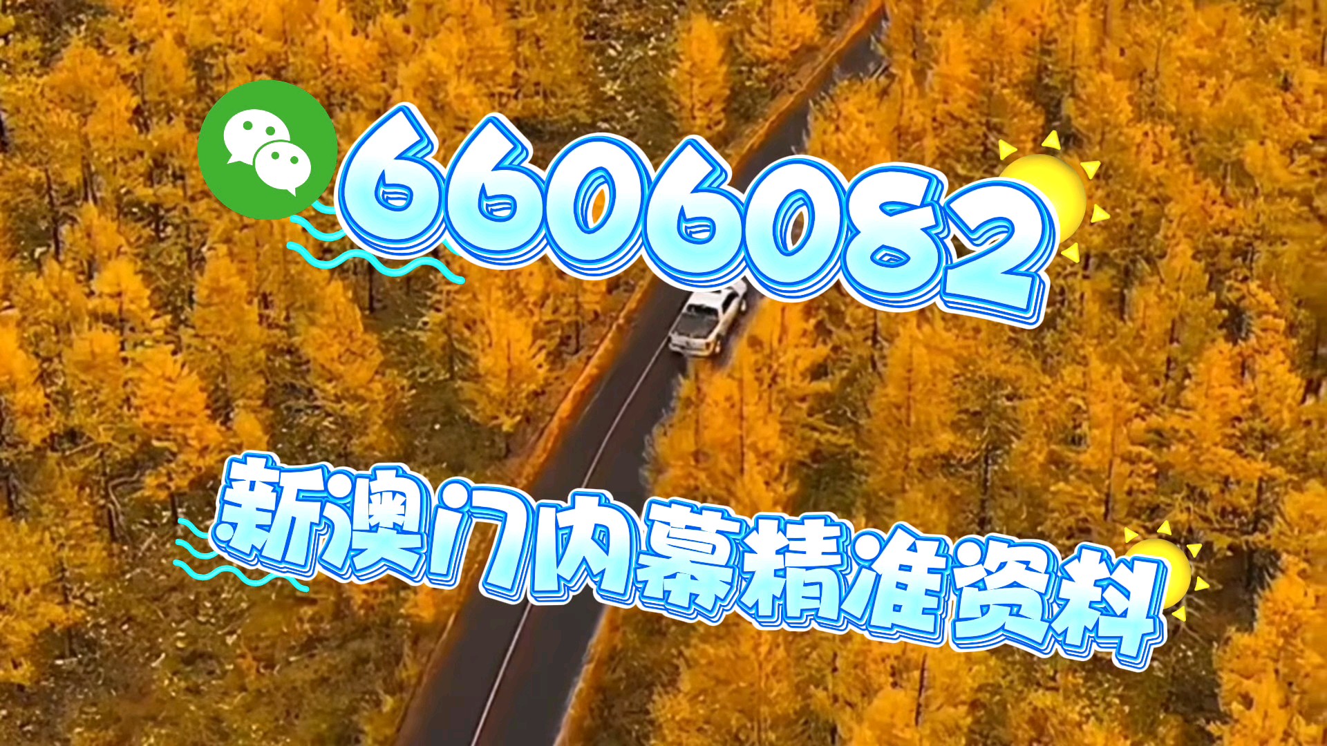 新澳門(mén)一肖一特一中，探索與解析，新澳門(mén)一肖一特一中，深度探索與解析