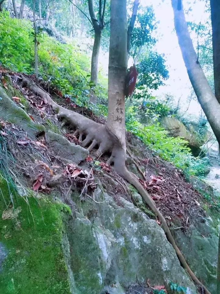 湖南游玩攻略