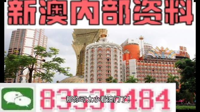 新澳門內(nèi)部免費資料精準大全——探索澳門資訊的寶庫，澳門資訊寶庫，新澳門內(nèi)部免費資料精準大全