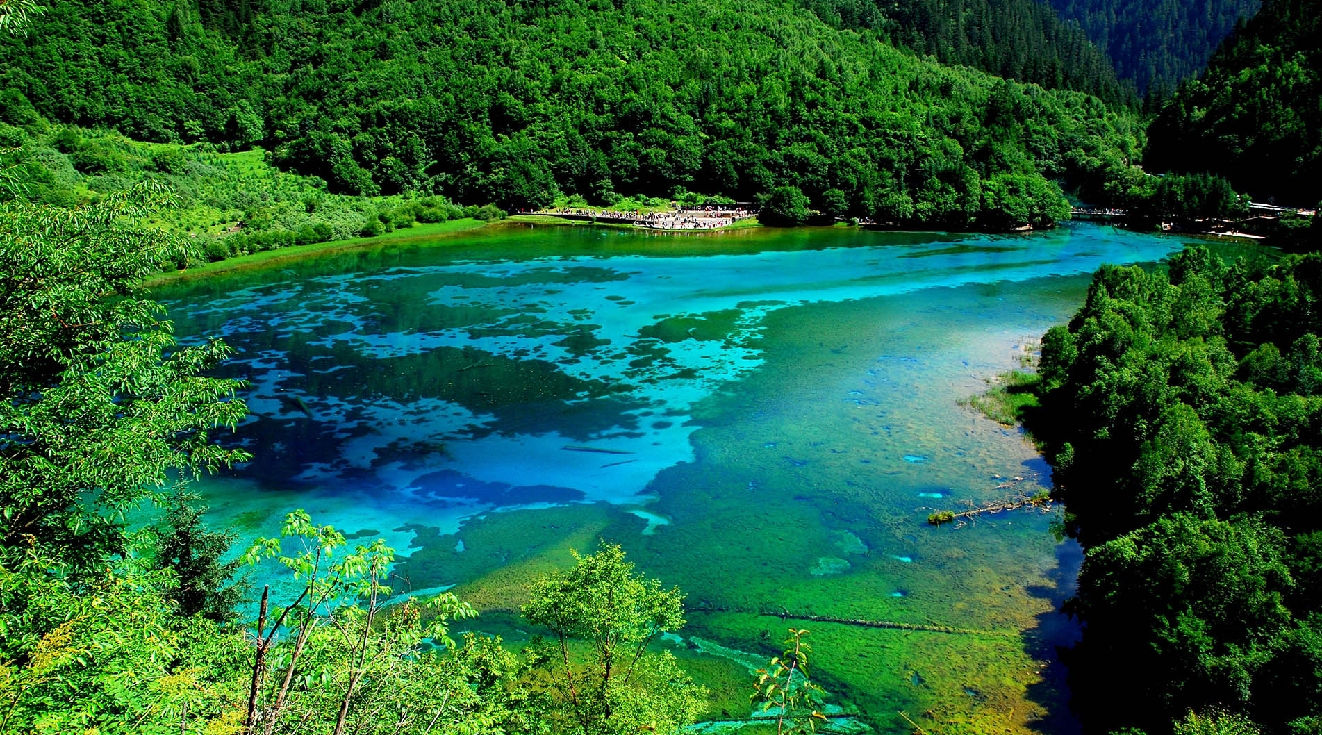 九寨溝景區(qū)簡(jiǎn)介——自然之美的人間仙境，九寨溝景區(qū)，自然之美的人間仙境簡(jiǎn)介
