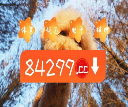 澳門天天免費精準大全——探索澳門的無盡魅力，澳門無盡魅力探索大全，天天免費精準指南