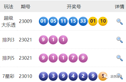 新澳門(mén)六開(kāi)彩開(kāi)獎(jiǎng)結(jié)果2020年回顧與解析，澳門(mén)六開(kāi)彩開(kāi)獎(jiǎng)結(jié)果回顧與解析，聚焦2020年數(shù)據(jù)