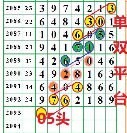 王中王論壇資料平特一肖，深度解析與SEO優(yōu)化策略，王中王論壇資料深度解析與SEO優(yōu)化策略探討