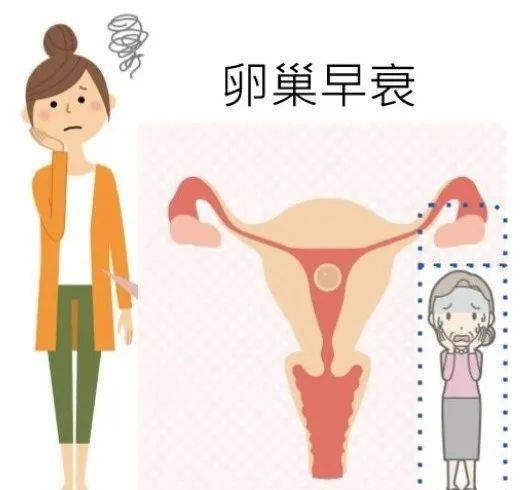 四十歲卵巢早衰能否調(diào)整回來？解讀卵巢早衰與應(yīng)對(duì)策略，四十歲卵巢早衰能否調(diào)整回來？解讀卵巢早衰現(xiàn)象及應(yīng)對(duì)策略