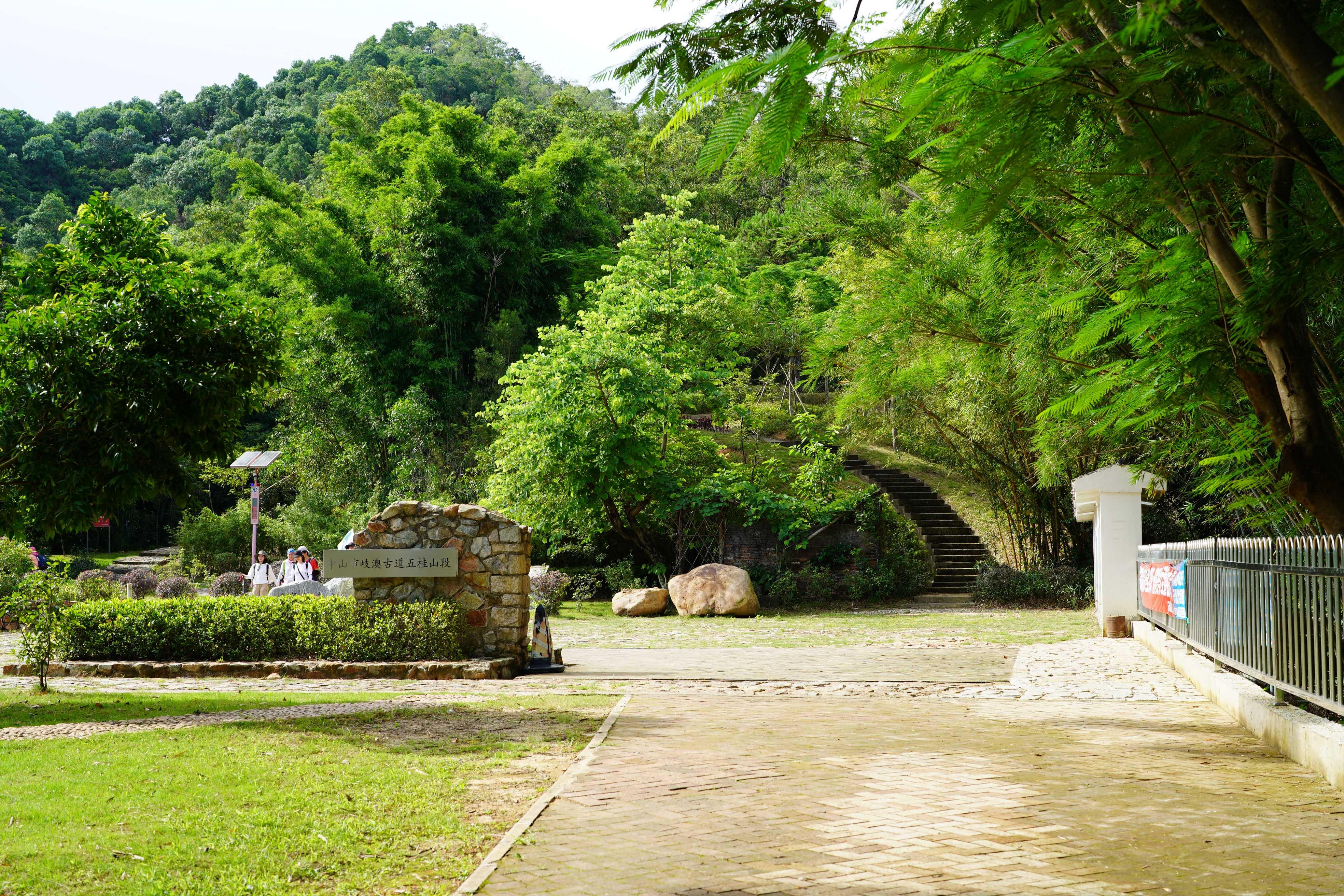 新澳門彩五行走勢分析——揭秘彩票背后的秘密，揭秘新澳門彩五行走勢，彩票背后的秘密解析