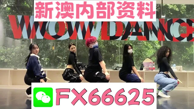 澳門一碼一碼100準(zhǔn)確，揭秘真相與探索玄機(jī)，澳門一碼一碼揭秘真相與探索玄機(jī)