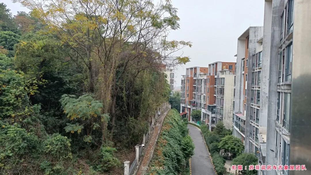 澳門天天六開彩免費(fèi)圖，探索彩票世界的奧秘（024期），澳門天天六開彩免費(fèi)圖，揭秘彩票奧秘（第024期）