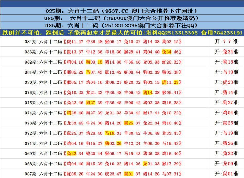 澳門六合正版資料，深度解析與探索，澳門六合正版資料深度解析與探索之旅