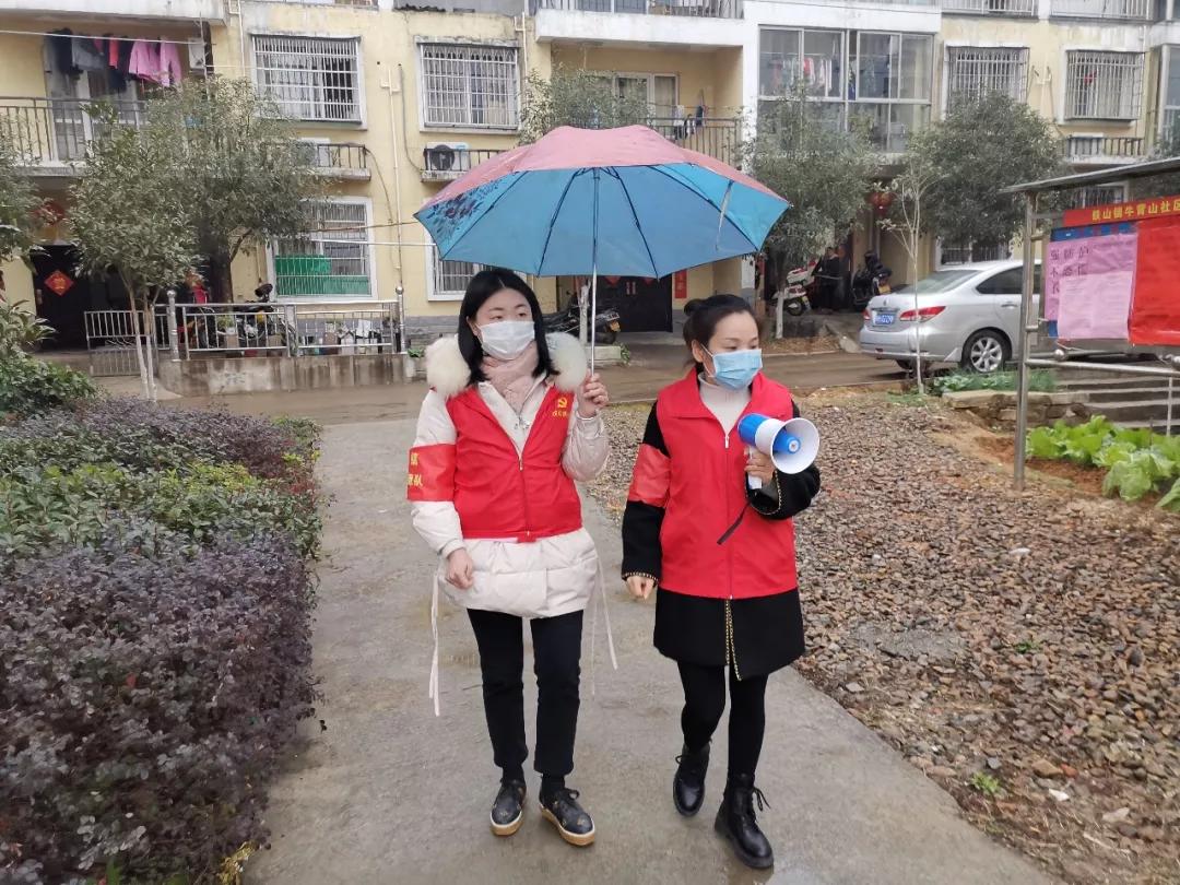 管家婆，全面解析角色與功能，管家婆角色與功能的全面解析