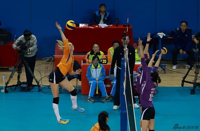 王中王白小姐四肖選一肖，揭秘背后的秘密與策略，揭秘王中王白小姐四肖選一肖背后的秘密與策略之道