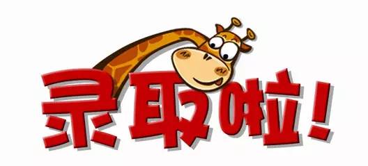 王中王017期指一生肖——深度解析與SEO優(yōu)化，王中王017期生肖深度解析與SEO優(yōu)化策略