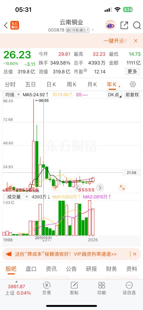 云南銅業(yè)股份股票，深度解析與投資前景展望，云南銅業(yè)股份股票深度解析與投資前景展望