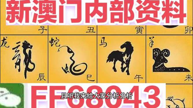 新澳下期生肖更新，深度解析與SEO優(yōu)化策略，新澳下期生肖更新深度解析及SEO優(yōu)化策略全攻略