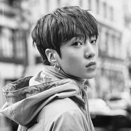 韓娛，探索璀璨明星的世界與魅力之源，韓娛，明星世界的魅力之源探索