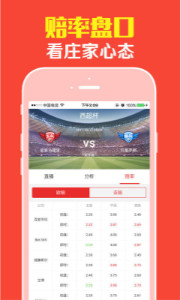 王中王平特一肖期期公開，深度解析與SEO優(yōu)化策略，王中王平特一肖期期公開深度解析與SEO優(yōu)化策略探討