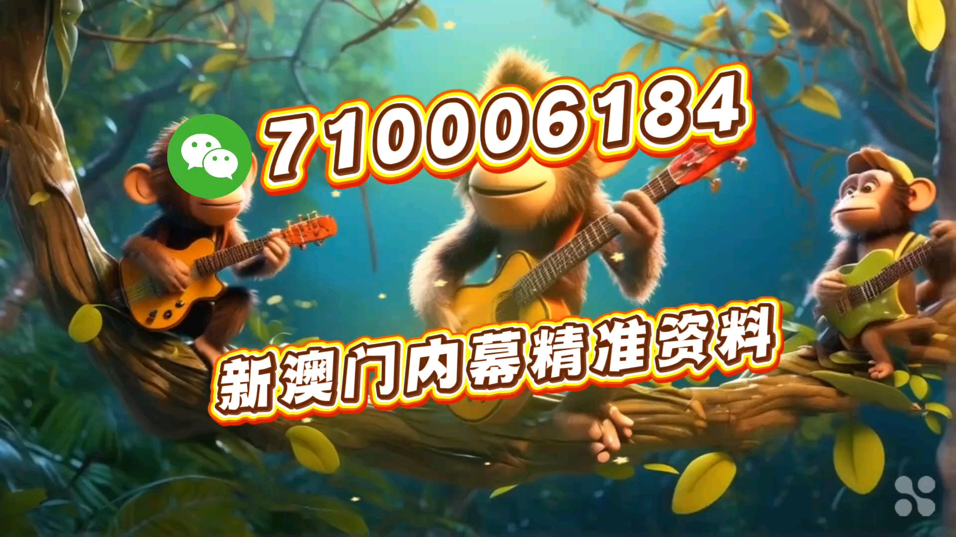 新澳門一肖一馬一特一中——探索澳門的獨特魅力，澳門獨特魅力探索之旅，一肖一馬一特一中揭秘