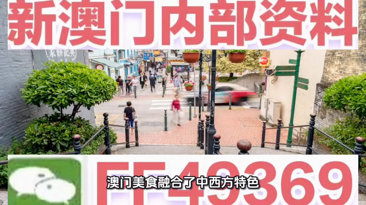 新澳門天天免費精準大全——探索澳門的無盡魅力，澳門魅力無限，新澳門天天免費精準大全探索