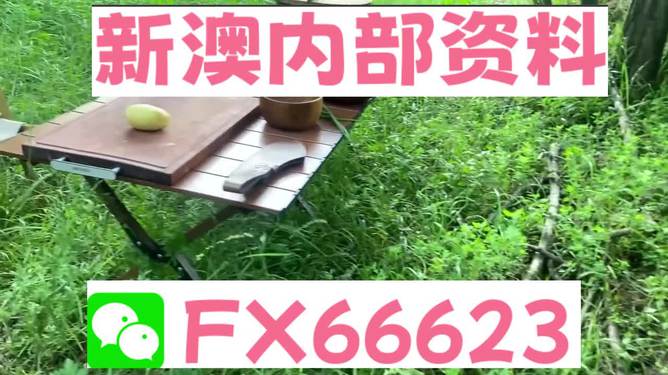 新澳一碼料，深度解析與SEO優(yōu)化策略，新澳一碼料深度解析與SEO優(yōu)化策略指南