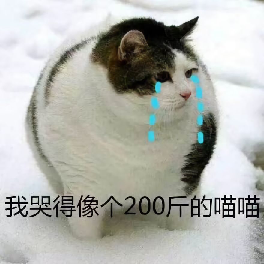 澳門一碼一肖一待一中四不像，探索與解析，澳門一碼一肖一待一中四不像，深度解析與探索