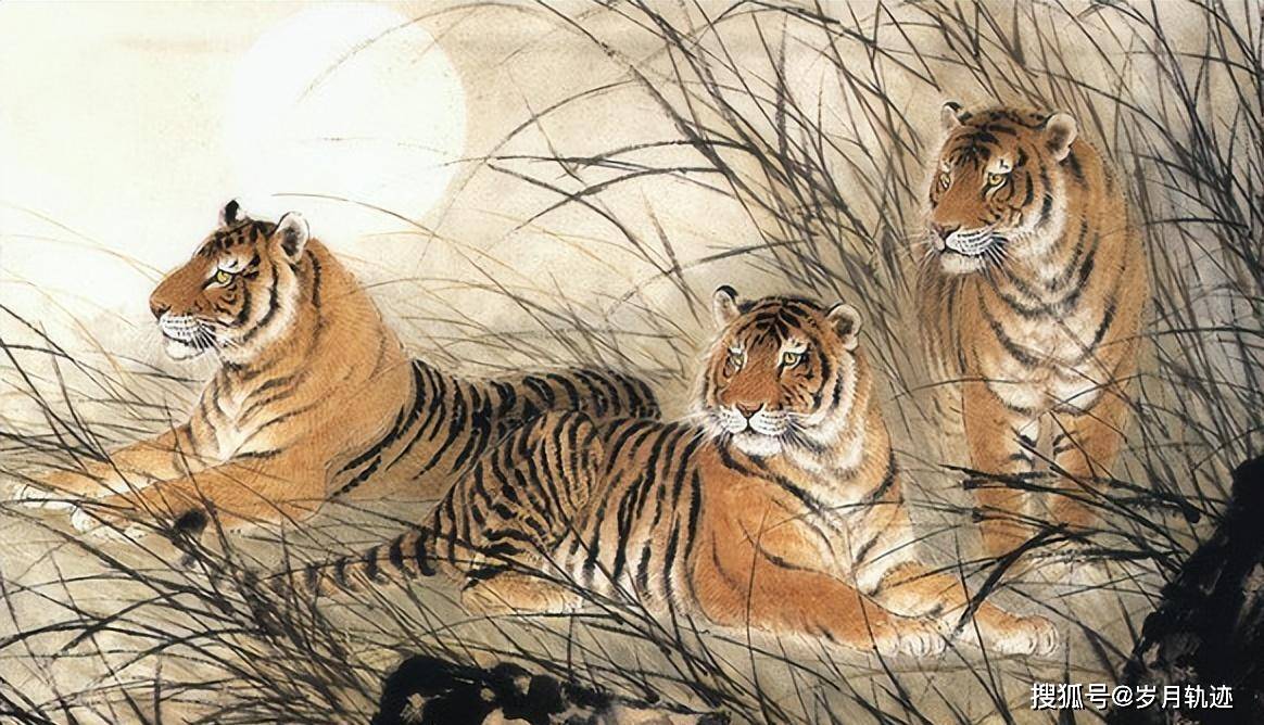 林中高手王中王一生肖，神秘傳奇與SEO洞察，林中高手王中王一生肖，神秘傳奇與SEO洞察揭秘