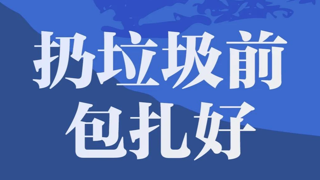 澳門正版資料免費大全新聞，探索與揭秘，澳門正版資料免費大全新聞，探索與揭秘的旅程