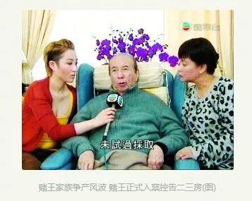 澳門(mén)四不像正版四不像網(wǎng)站，探索與解析，澳門(mén)四不像正版網(wǎng)站探索與解析