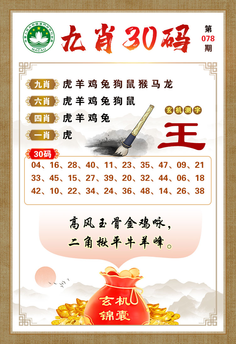 王中王六肖一句贏錢——揭秘彩票背后的秘密與策略，揭秘彩票背后的秘密與策略，王中王六肖一句贏錢之道