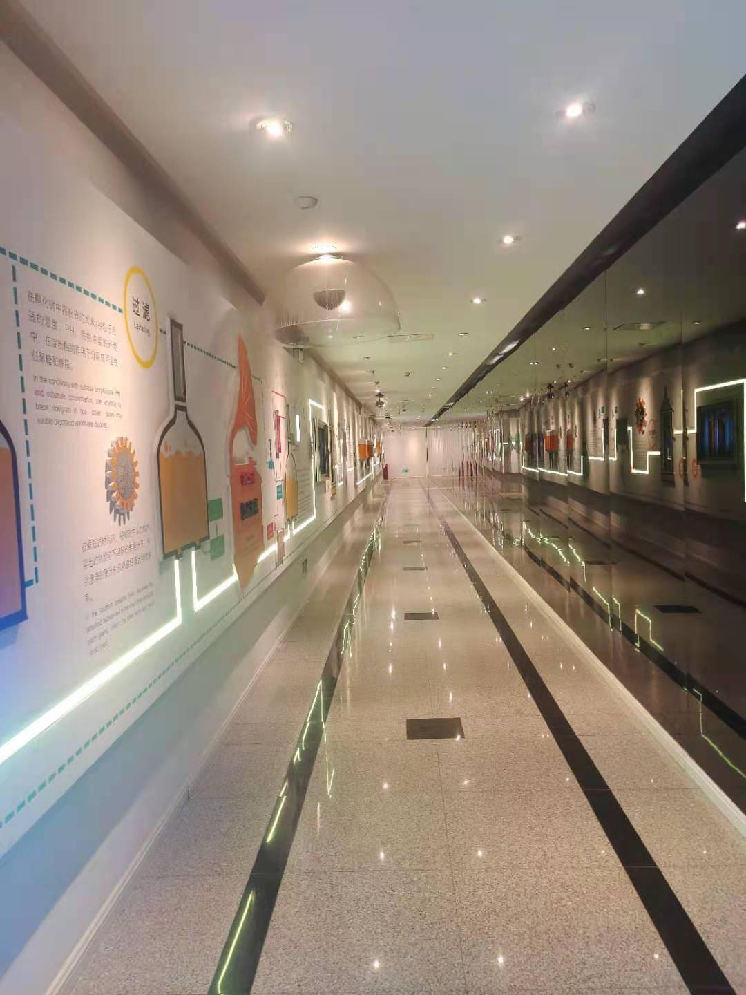 澳門一碼一肖一待一中四不像，探索與解析，澳門一碼一肖一待一中四不像，深度解析與探索