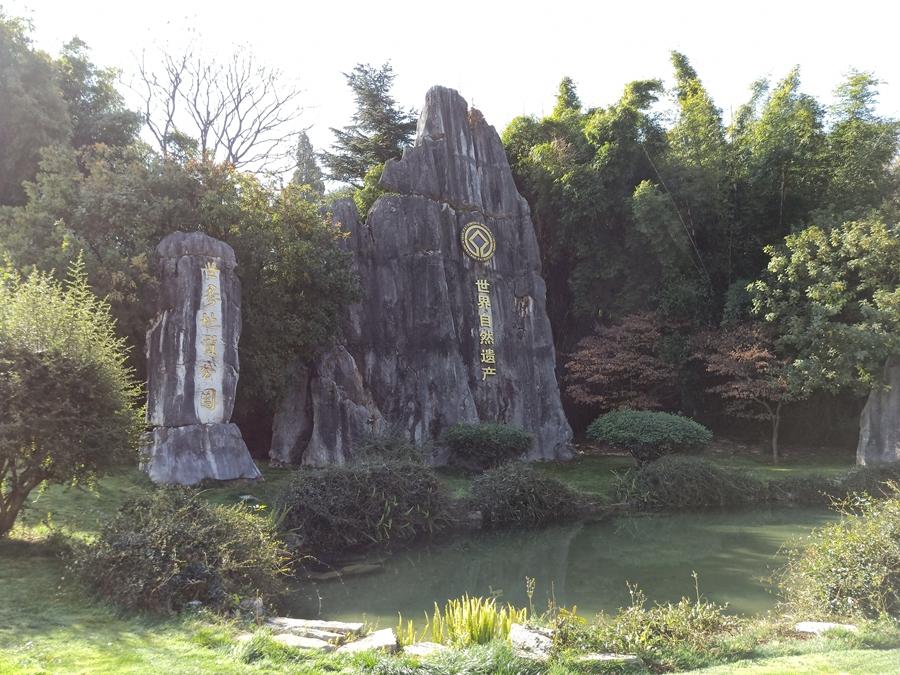 云南跟團(tuán)游與自由行，哪個(gè)更適合你？，云南旅游，跟團(tuán)游與自由行，哪個(gè)更合適？