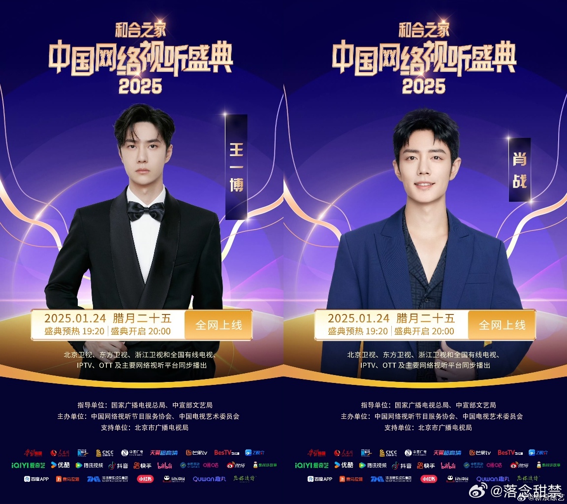 王中王一肖內(nèi)部資料詳解，王中王一肖內(nèi)部資料深度解析